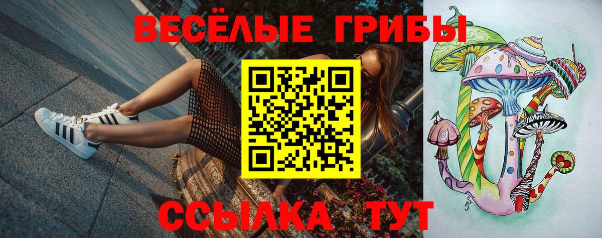 Псилоцибиновые грибы Cubensis  Галлюциногенные грибы мицелий  Вход с VPN  Минусинск 